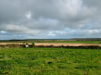 Loch of Strathbeg